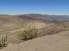 DSCN0850