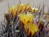 DSCN1338
