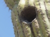 DSCN1356