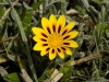 DSCN6486