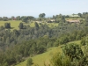 DSCN6519