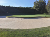 T8GREEN