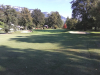 T9GREEN