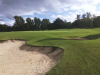 T12GREEN