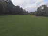 T15GREEN