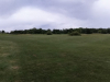 T7GREEN