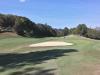 T11GREEN