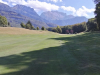 T13GREEN