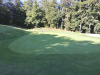 T2GREEN