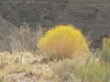 DSCN5322