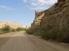 DSCN5326