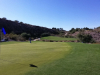 T14GREEN
