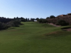 T16GREEN
