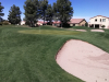 T1GREEN