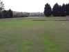 t14bis