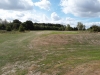 t6