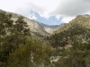 DSCN4334