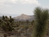 DSCN4358