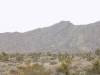 DSCN4366