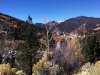 IMG_20231014_131119