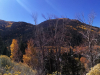 IMG_20231014_131135