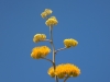 DSCN1189