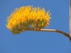 DSCN1192
