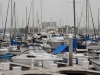 DSCN0554