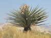 DSCN1016