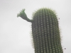 DSCN1248