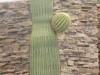 DSCN1250