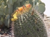 DSCN1276