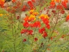 DSCN1392