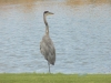 DSCN1395