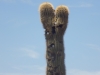 DSCN1436