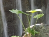 DSCN1911