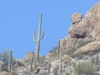 DSCN1673