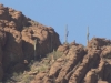 DSCN1678