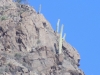 DSCN1682