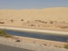 DSCN1764