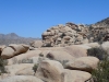 DSCN1796