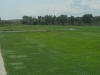 t11