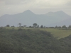 DSCN6651