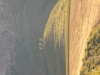 DSCN6713