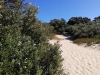 IMG_20200225_150143-256