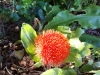 IMG_20200229_151047-291