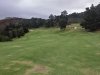 IMG_20240303_113258