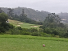 IMG_20240303_124210