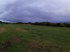 IMG_20240305_113012