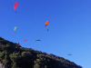IMG_20240306_174124